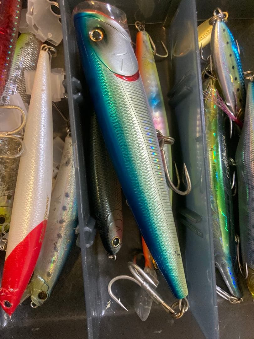 シーバス引退セット