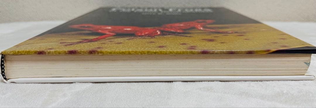 貴重！　Jewels of the Rainforest ヤドクガエル　洋書図鑑