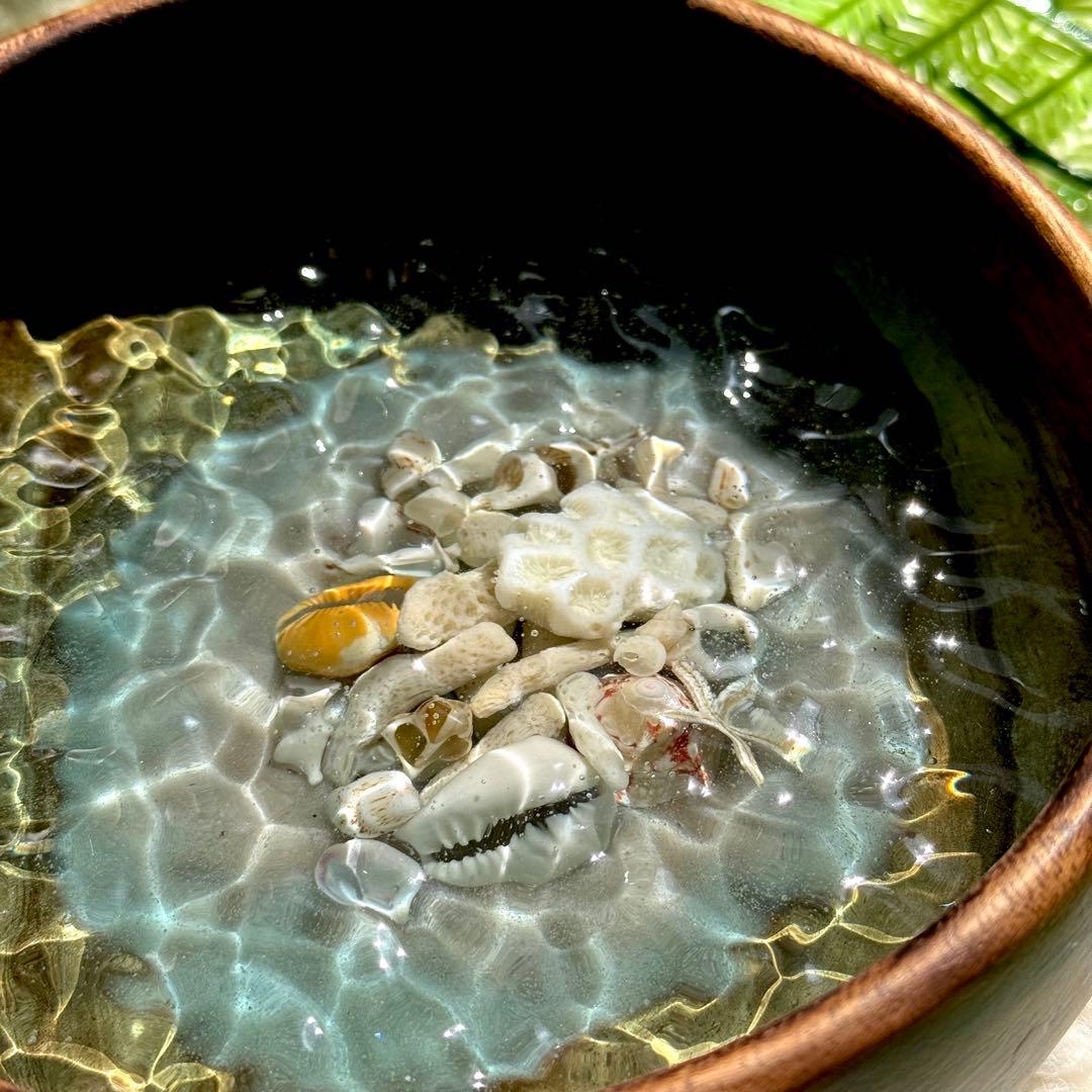 ハワイアン　インテリアアート　海の置き物　貝殻　南国