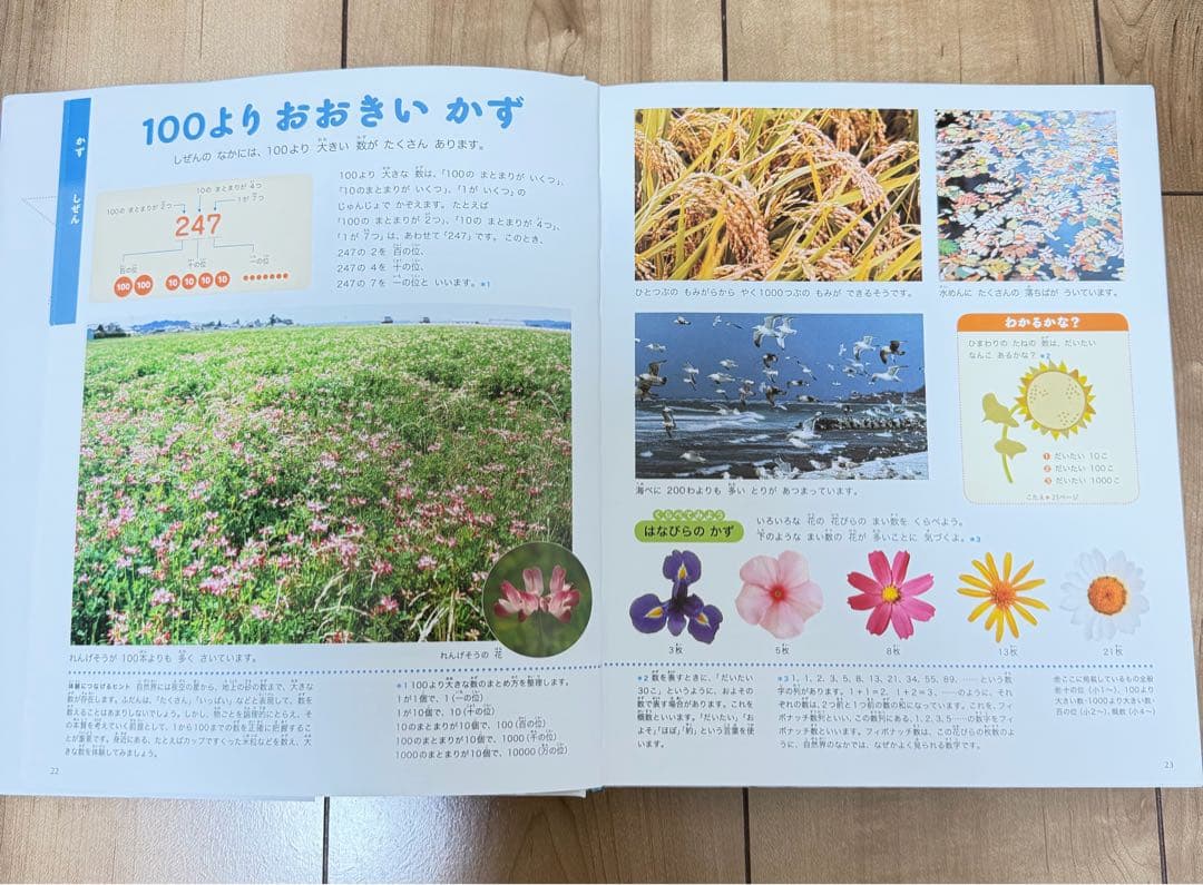 プレNEO 図鑑セット 4冊　参考書