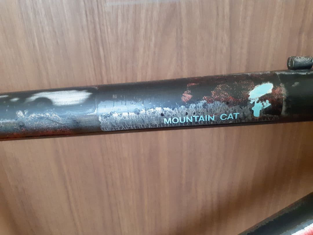 ジャンク パナソニック マウンテンキャット フレーム&フォーク OLD MTB