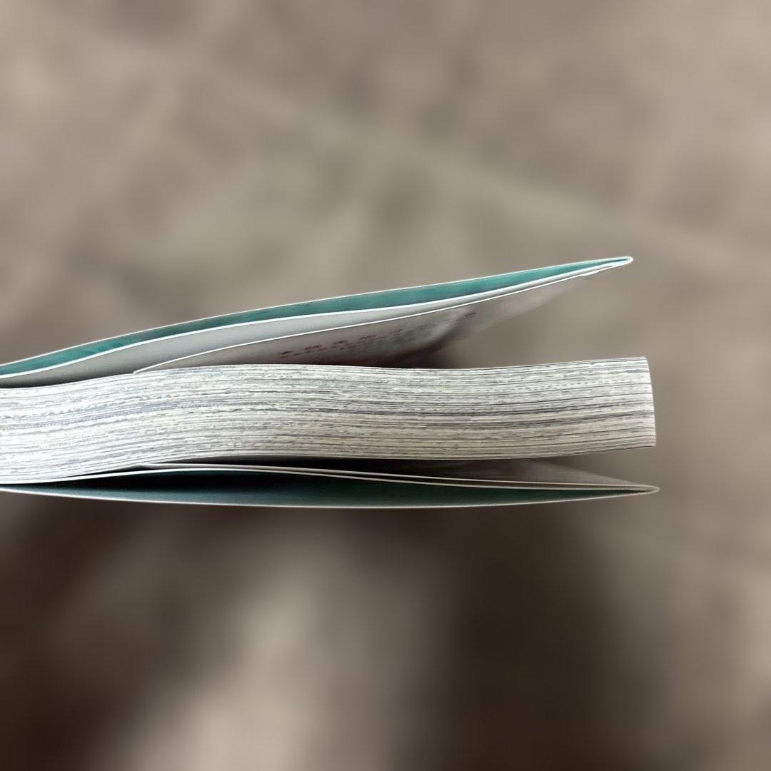 多聞くん今どっち!? 全巻 1-13巻 師走ゆき 購入特典付き