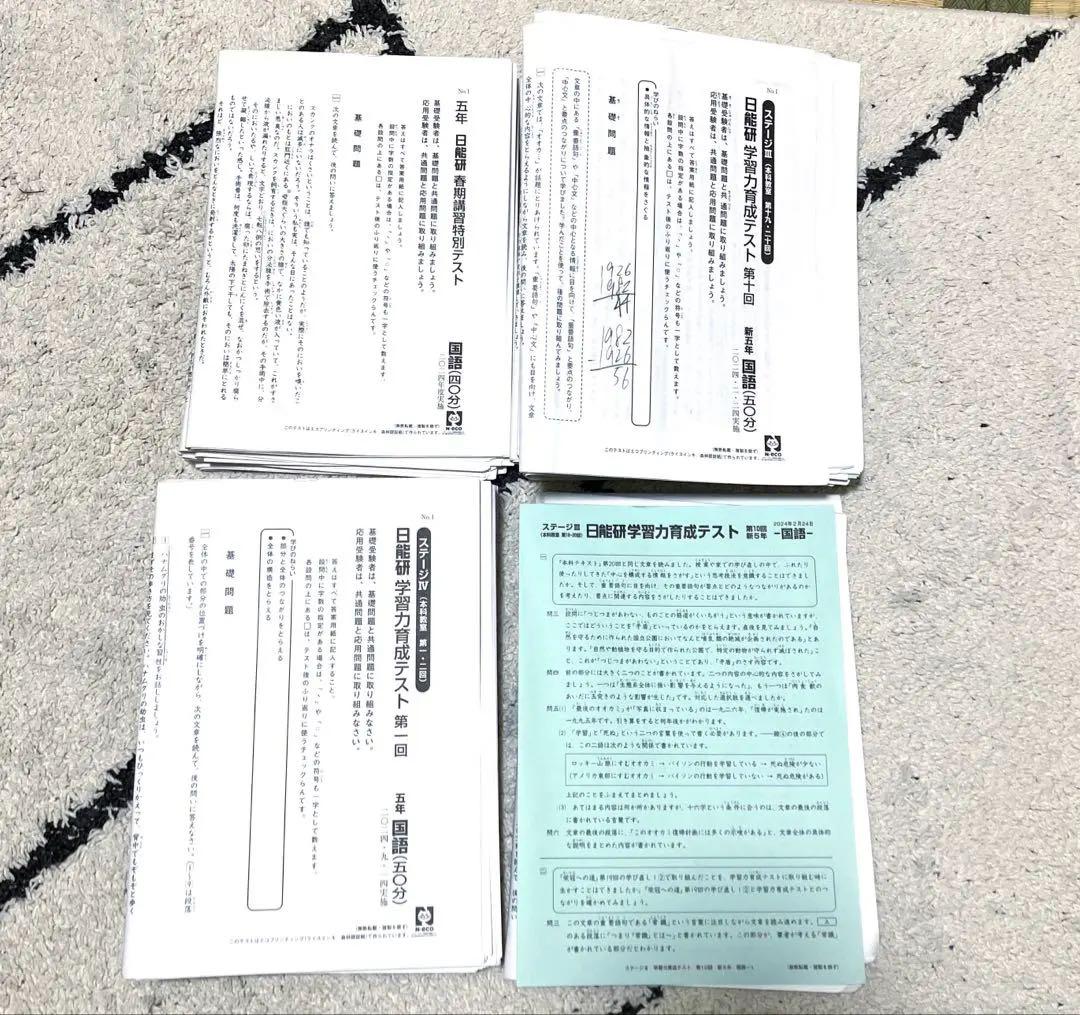 日能研　学習力育成テスト5年　講習テスト