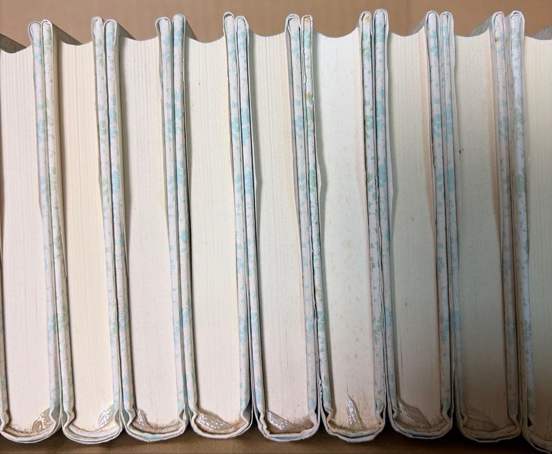 稀少‼️ 絶版‼️アボンリーへの道　全20巻