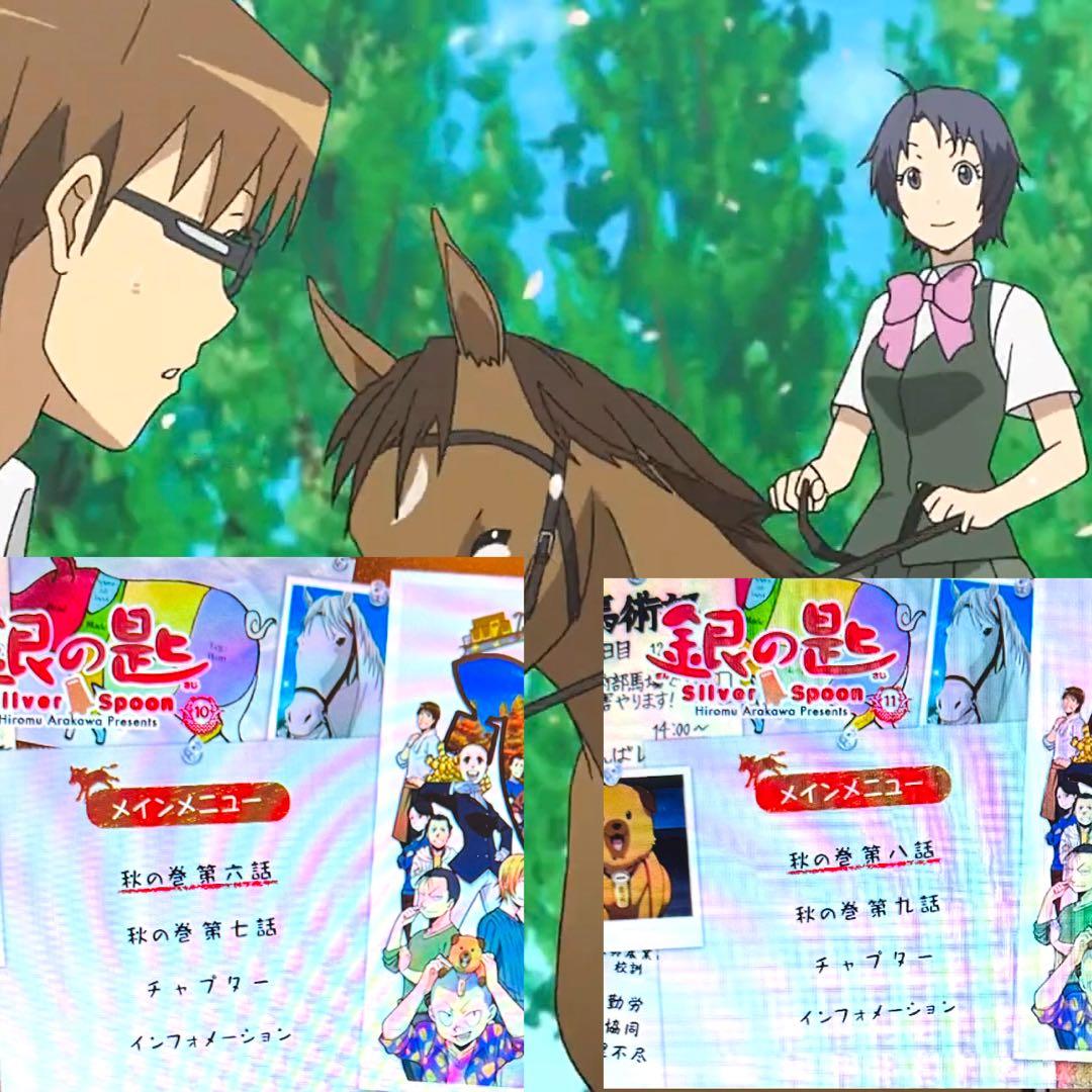 銀の匙 Silver Spoon DVD 1期 2期 全12巻 全巻 完結 荒川