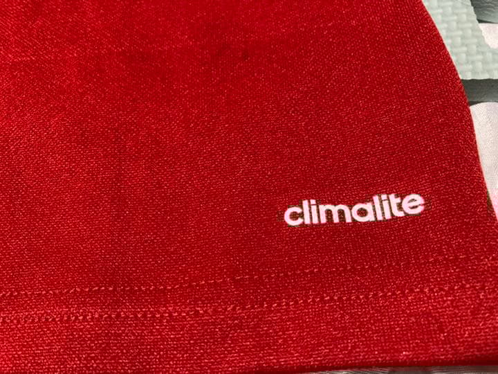 (使用済)(Auツアー)ブリティッシュ　アイリッシュライオンズ2013(値引)