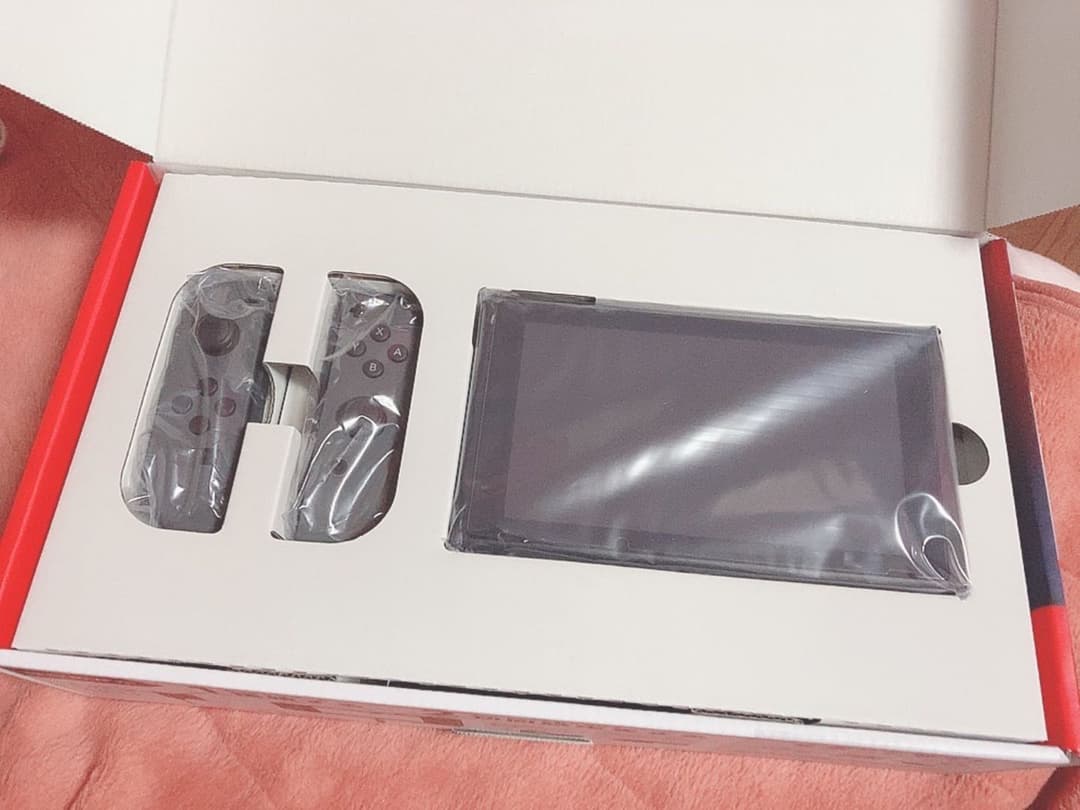 NintendoSwitch グレー 本体