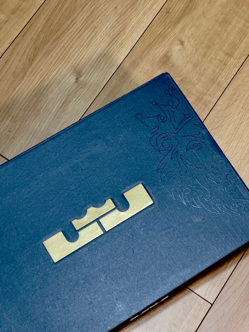 極美品28.5cm NIKE LeBron witness 9