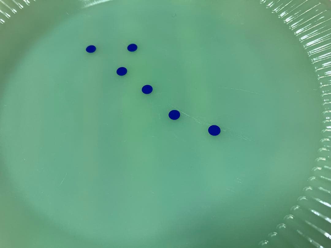 ファイヤーキング　ジェダイ　ジェーレイ　プレート　5枚セット