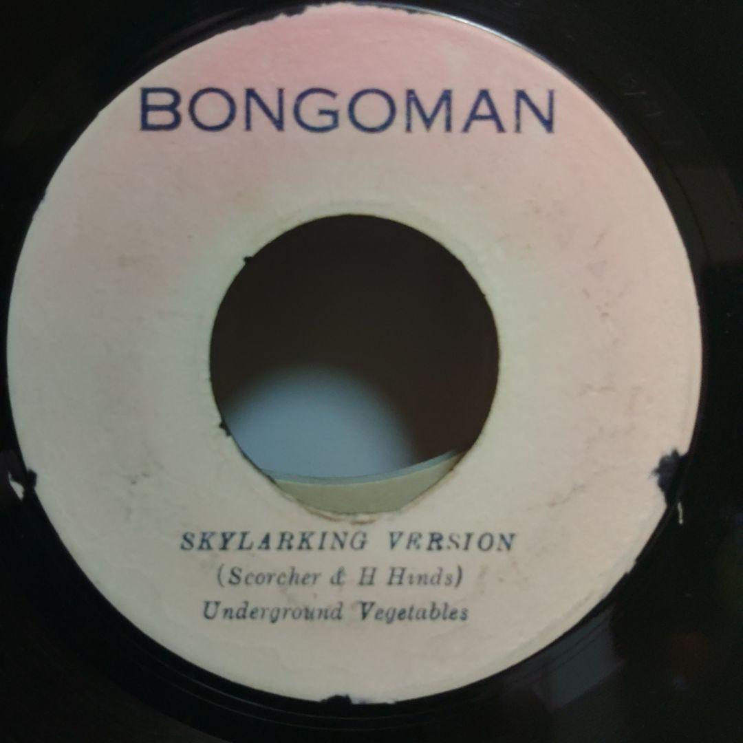 洋楽 HORACE ANDY/ SKYLARKING