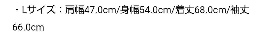 ジャケット・アウター STRUM HI-FLYER size5 BLACK