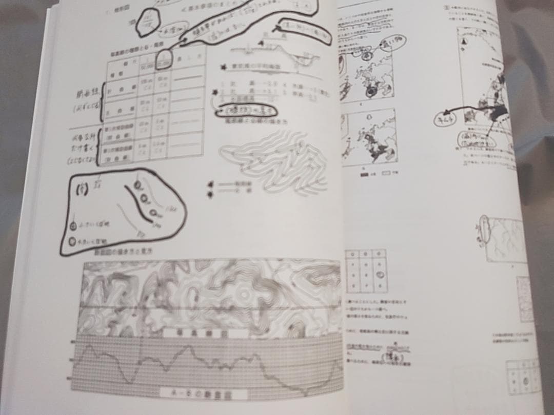駿台　岡田先生　地理配布プリント　書き込み無し　河合塾　鉄緑会　SEG　東進