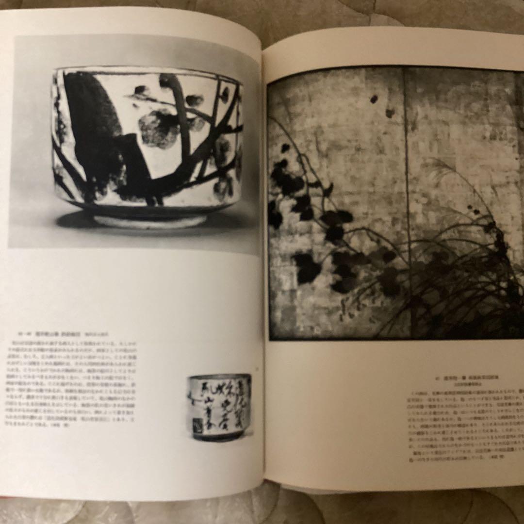 近世絵画　日本美術大系v 浅野長武監修　大塚巧藝写真　講談社写真部