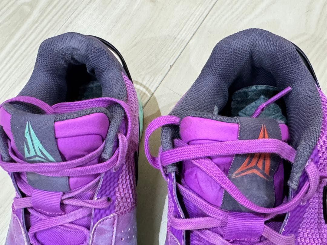 Nike バスケットボールシューズ 紫/緑