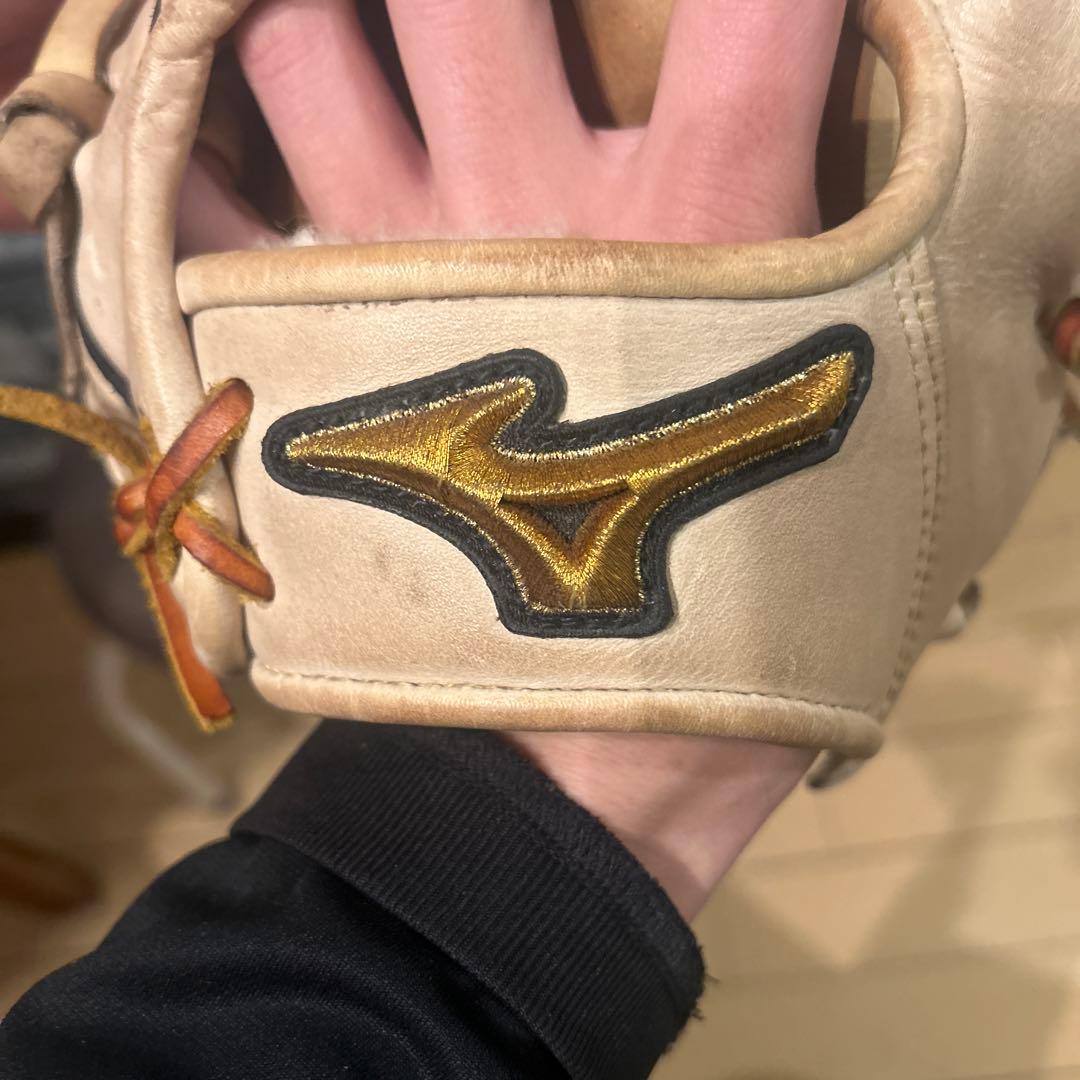 Mizunoプロタティスモデル