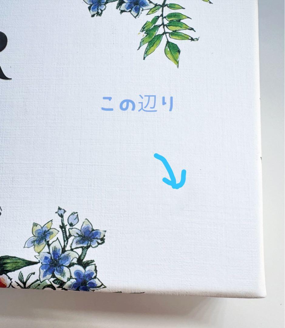 Dior バックステージパレット 002クール　セット