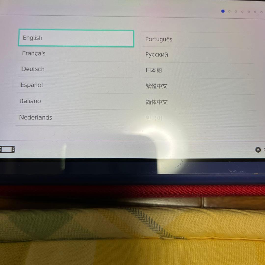 Nintendo Switch Lite 充電器付き