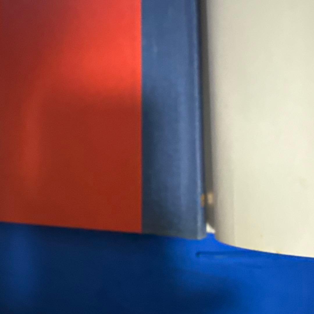 洋書　BUZ リチャード・エギルスキー著