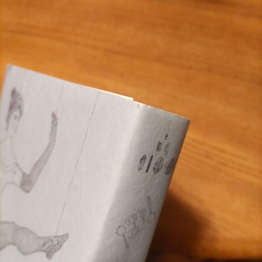 【帯付き美品！】kaiのチャクラケアブック　murmurbooks　匿名配送