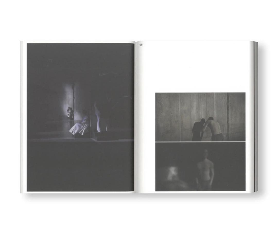 PAN DAIJING by Pan Daijing アートブック