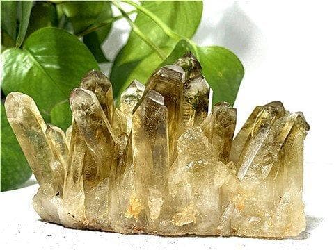 AAA級天然シトリンクラスターYT10D6/168D04A