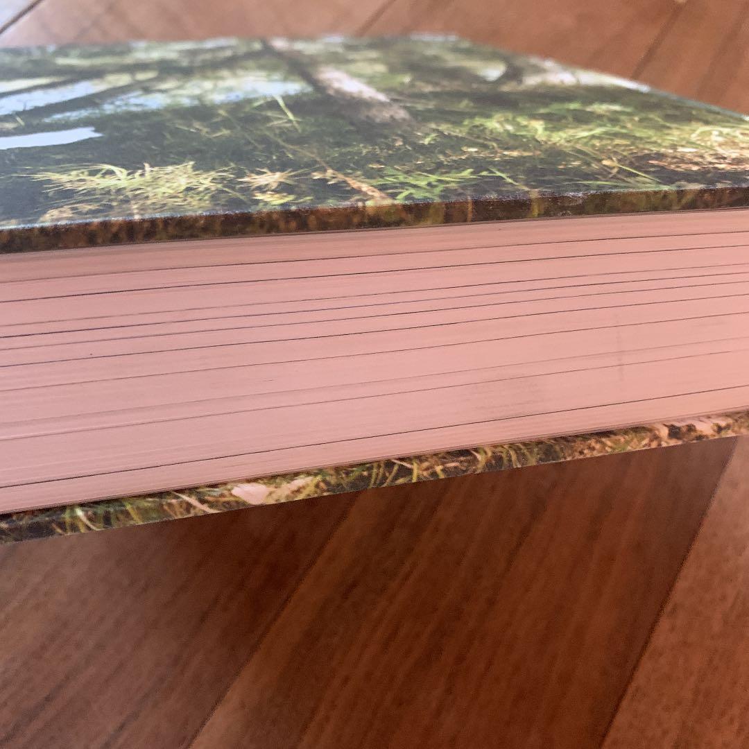 Modern Scandinavian Design  洋書 デザイン