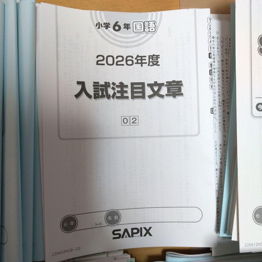 最新2025年度版　6年サピックス国語　筑駒開成コース