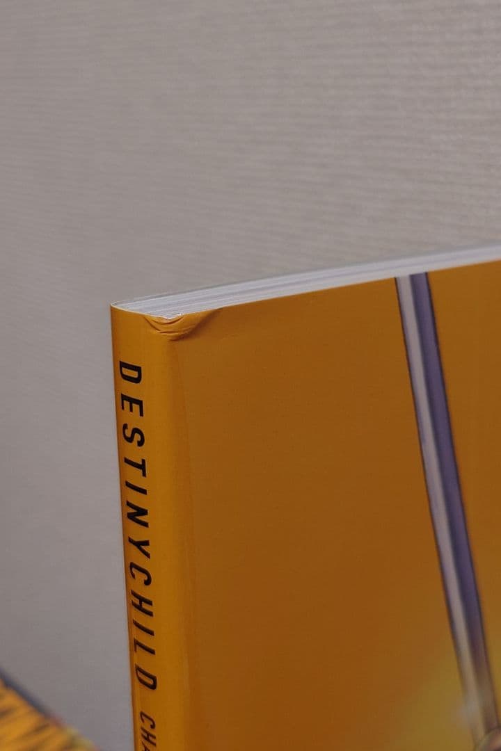 アート・デザイン・音楽 DESTINYCHILD CHARACTER ARTWORKS 1