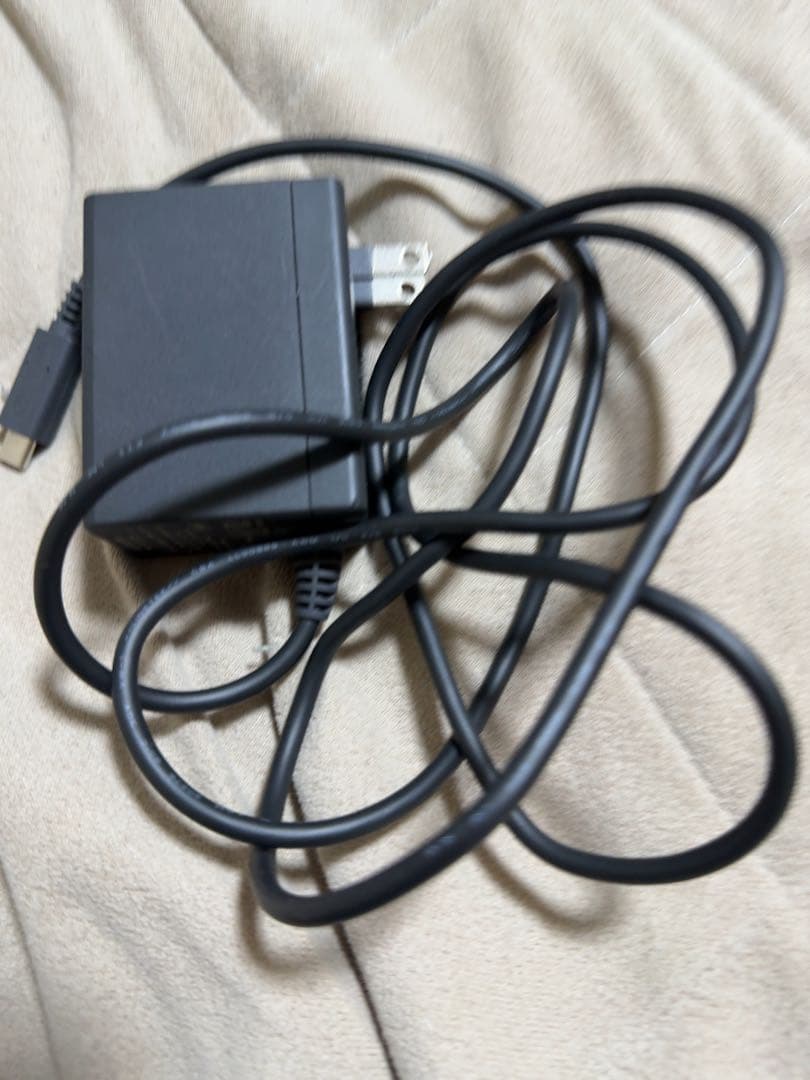 Nintendo Switch Lite ブルー 本体（専用ケース、充電器付）