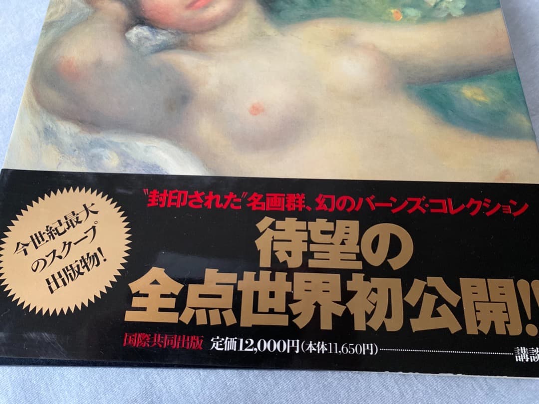 印象派の宝庫バーンズ・コレクション展　図録