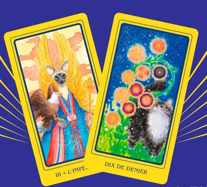 ★正規品タロットカード★フランスの激かわデッキ✨キュートな猫たちのタロットカード