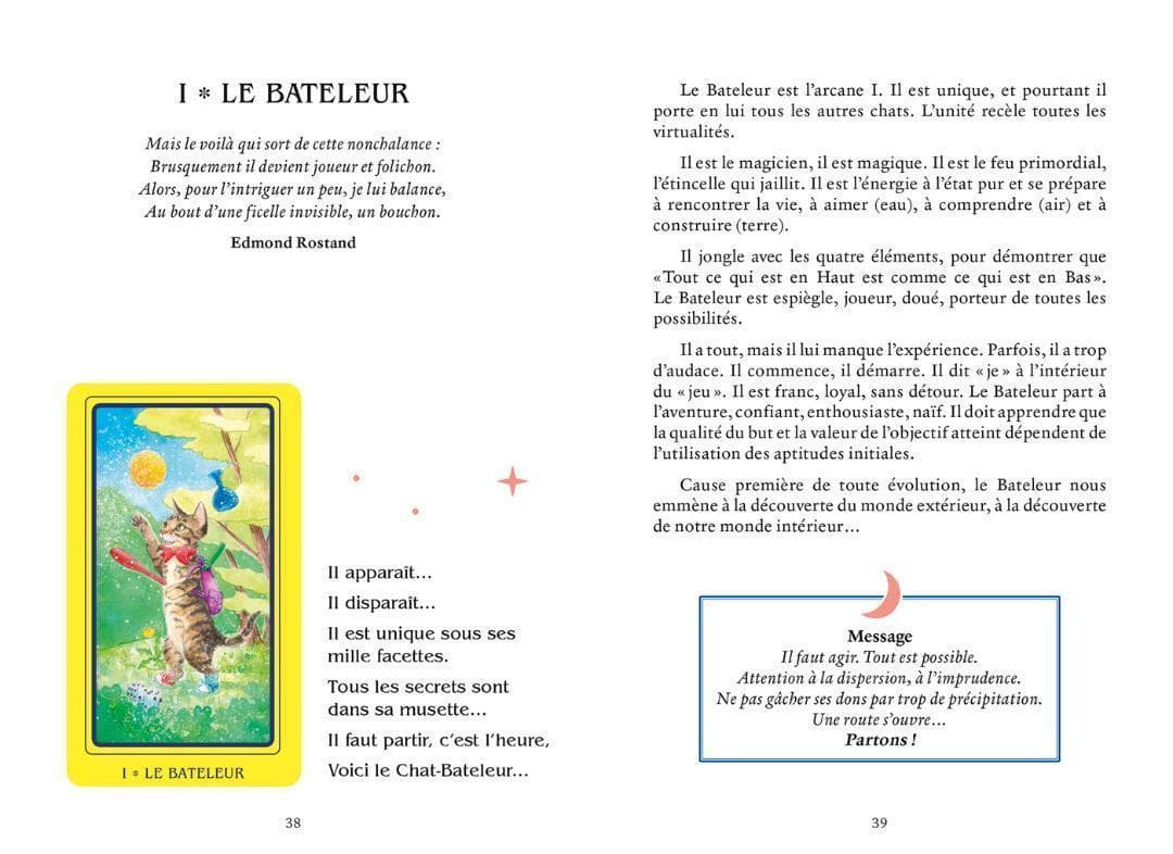 ★正規品タロットカード★フランスの激かわデッキ✨キュートな猫たちのタロットカード