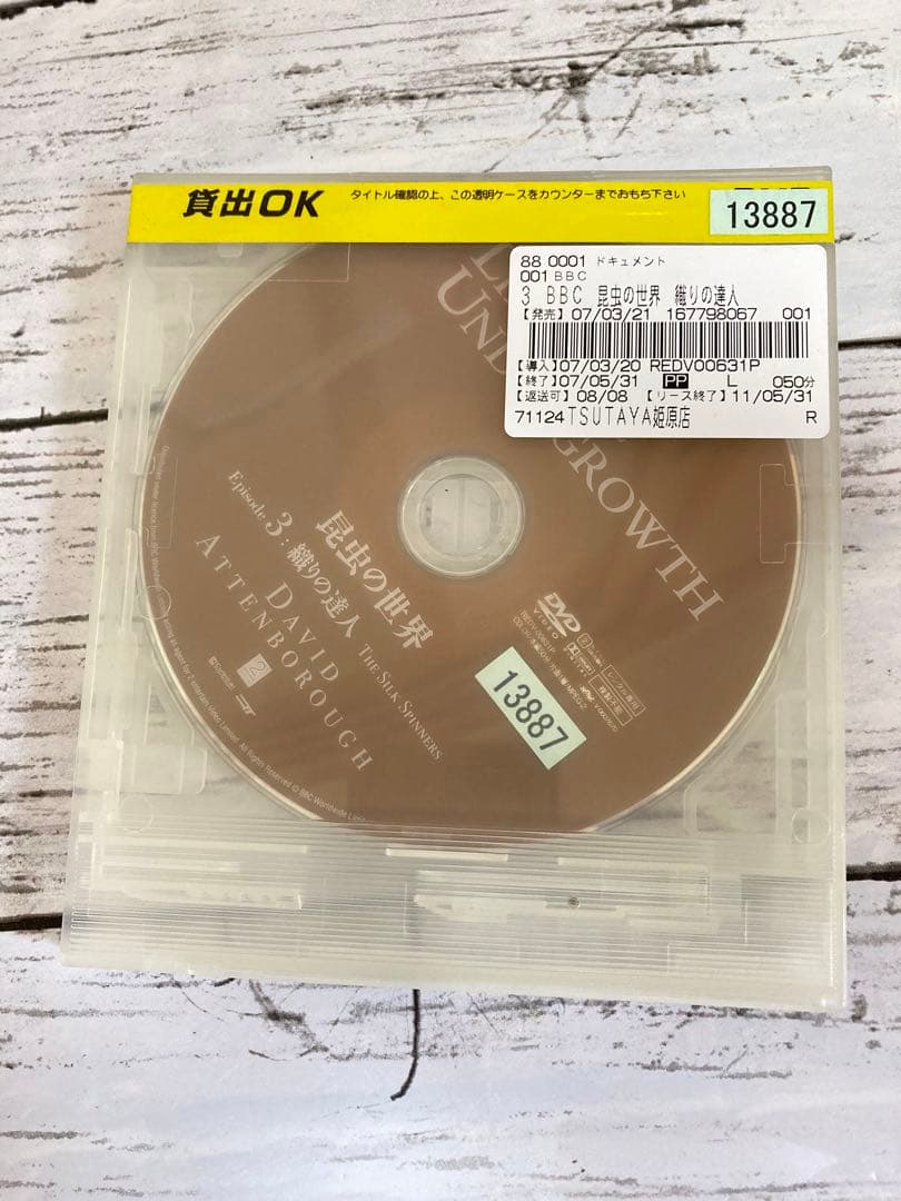 BBC 昆虫の世界　DVD 2枚セット　ライフインザアンダーグラウス