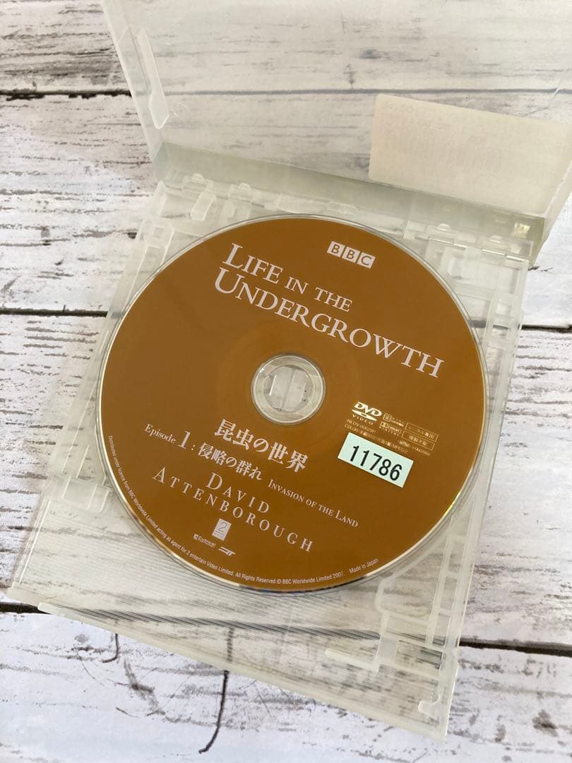 BBC 昆虫の世界　DVD 2枚セット　ライフインザアンダーグラウス