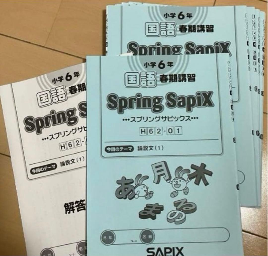 小6 国語 デイリーサピックス 24回分+春期講習•夏期講習 ウィークリーサピ他