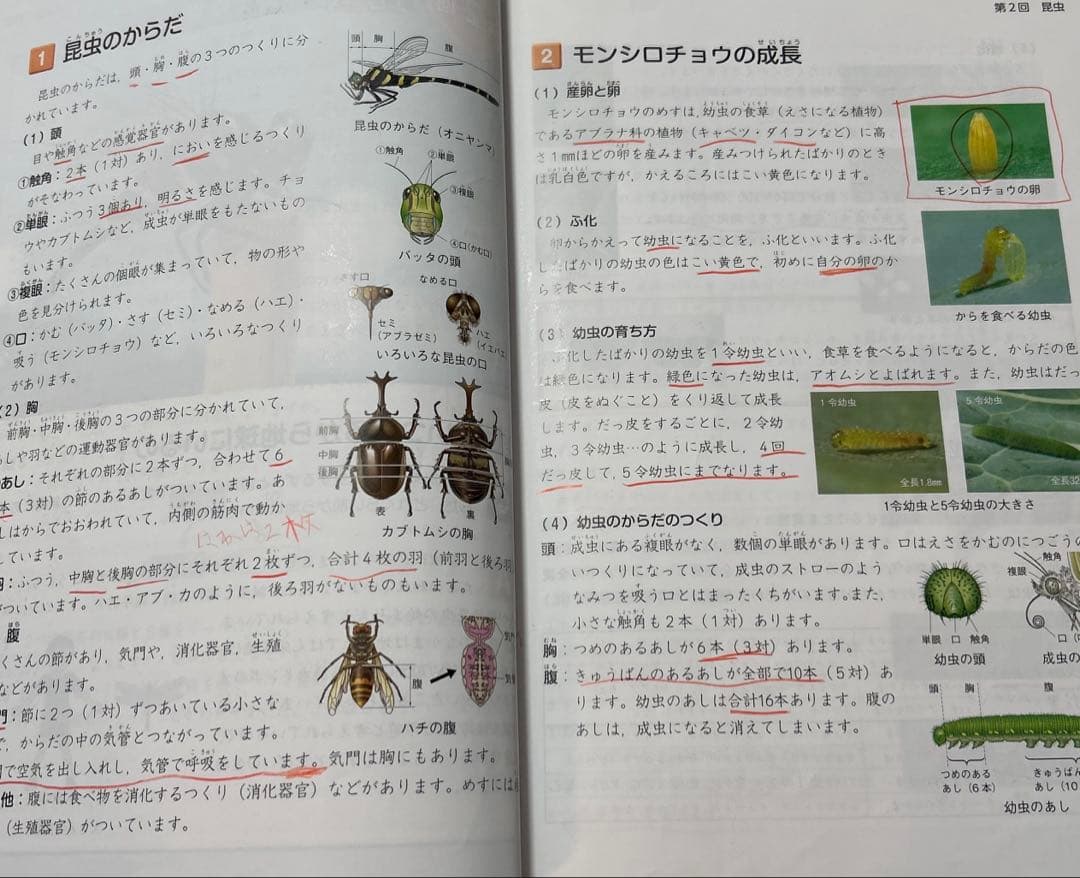 四谷大塚 予習シリーズ 4年 上 下 春期 夏期 冬期講習 早稲田アカデミー