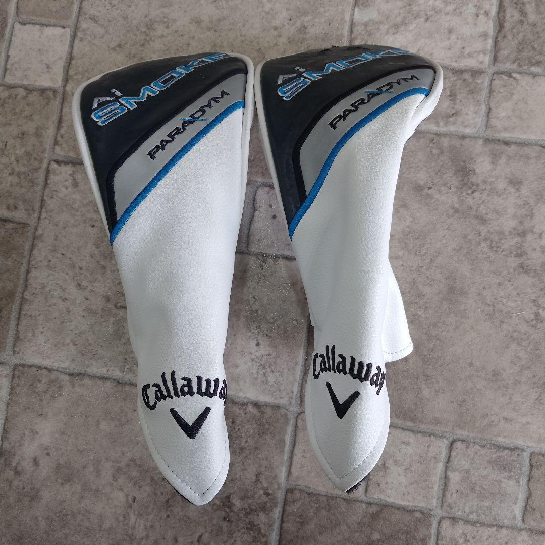 パラダイムAIスモークMAX 3W 5W ヘッドセット