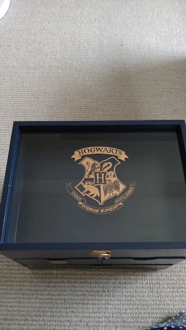 サリュ！　ハリーポッター マルチキャビネット　 Harry Potter