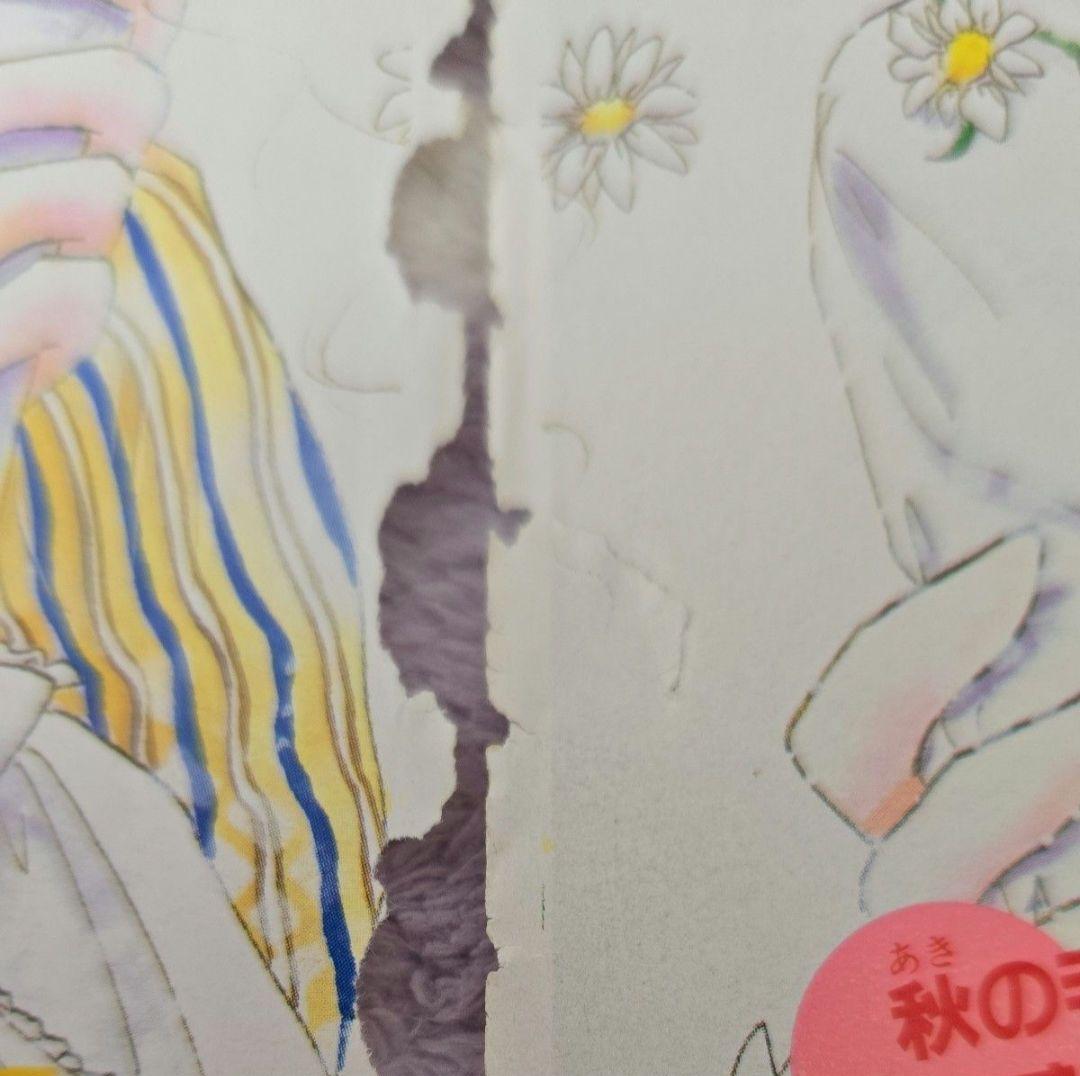 ミラクルガールズ 秋元奈美 カラーページ なかよし