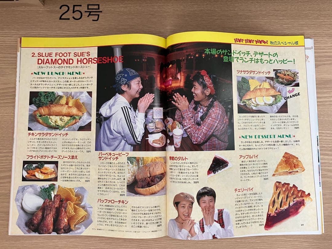 ディズニーファン Disney Fan 創刊号〜30号（28号除）29冊まとめ売