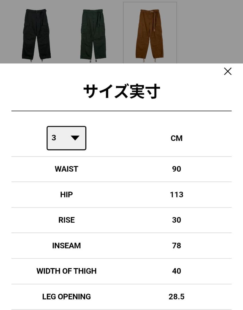 パンツ sacai x Carhartt Duck Pants Dark Beige