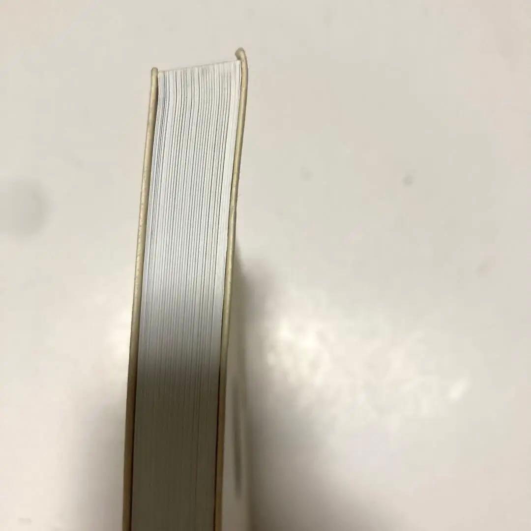 レア！！ヨーガンレール　ババグーリ　石のコレクション写真集