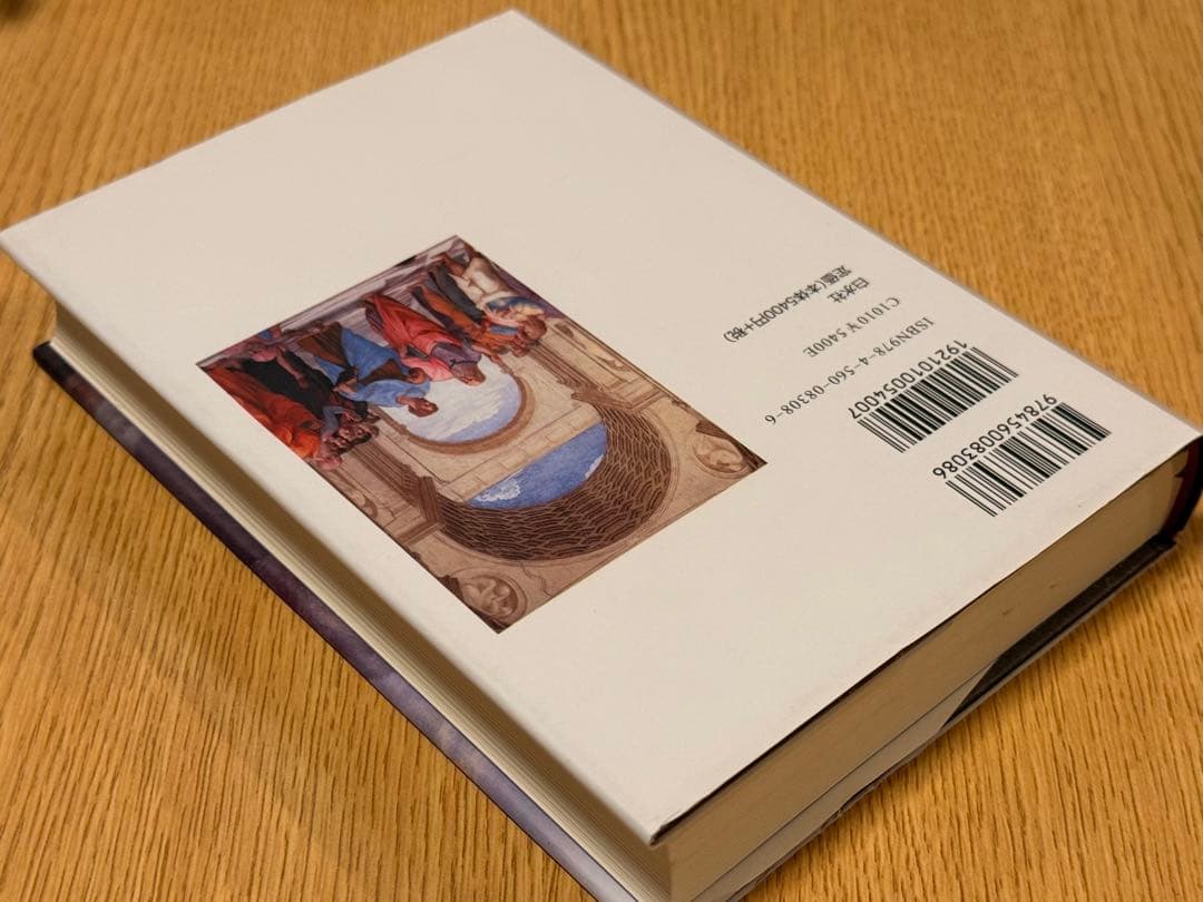 形象の力 : 合理的言語の無力