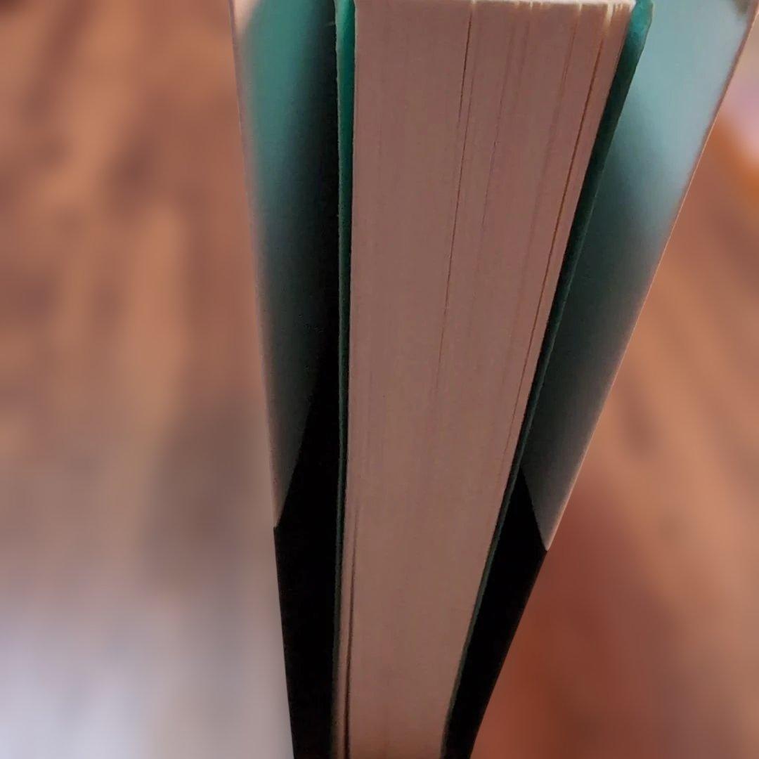 ガラスの王　本岡類　実業之日本社