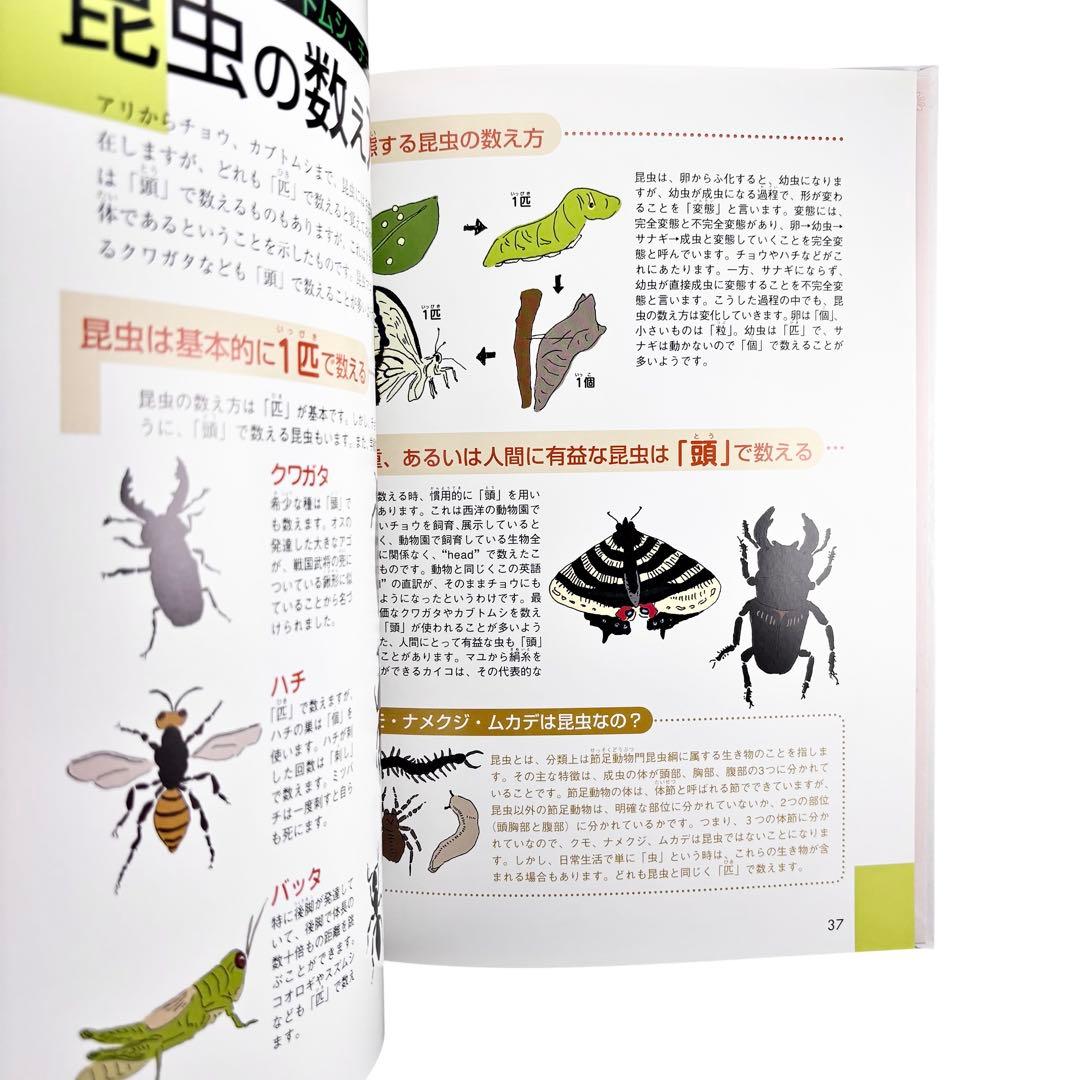 児童書 学研 数え方と単位の本シリーズ1〜6巻セット / Gakken