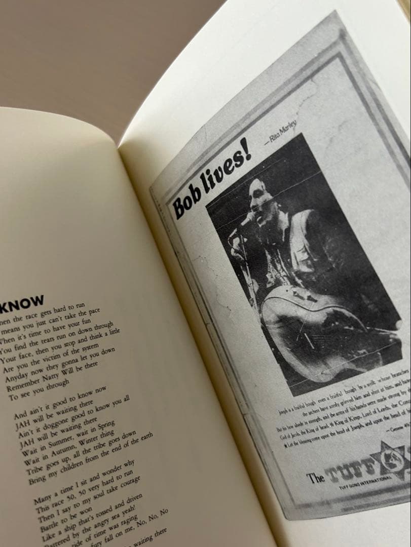 バイブス : ボブ・マーリィの波動