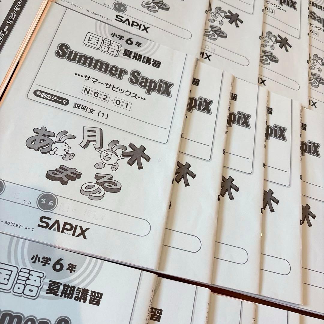 最新　2025年度 サピックス 夏期 春期 6年生 国語 全24回