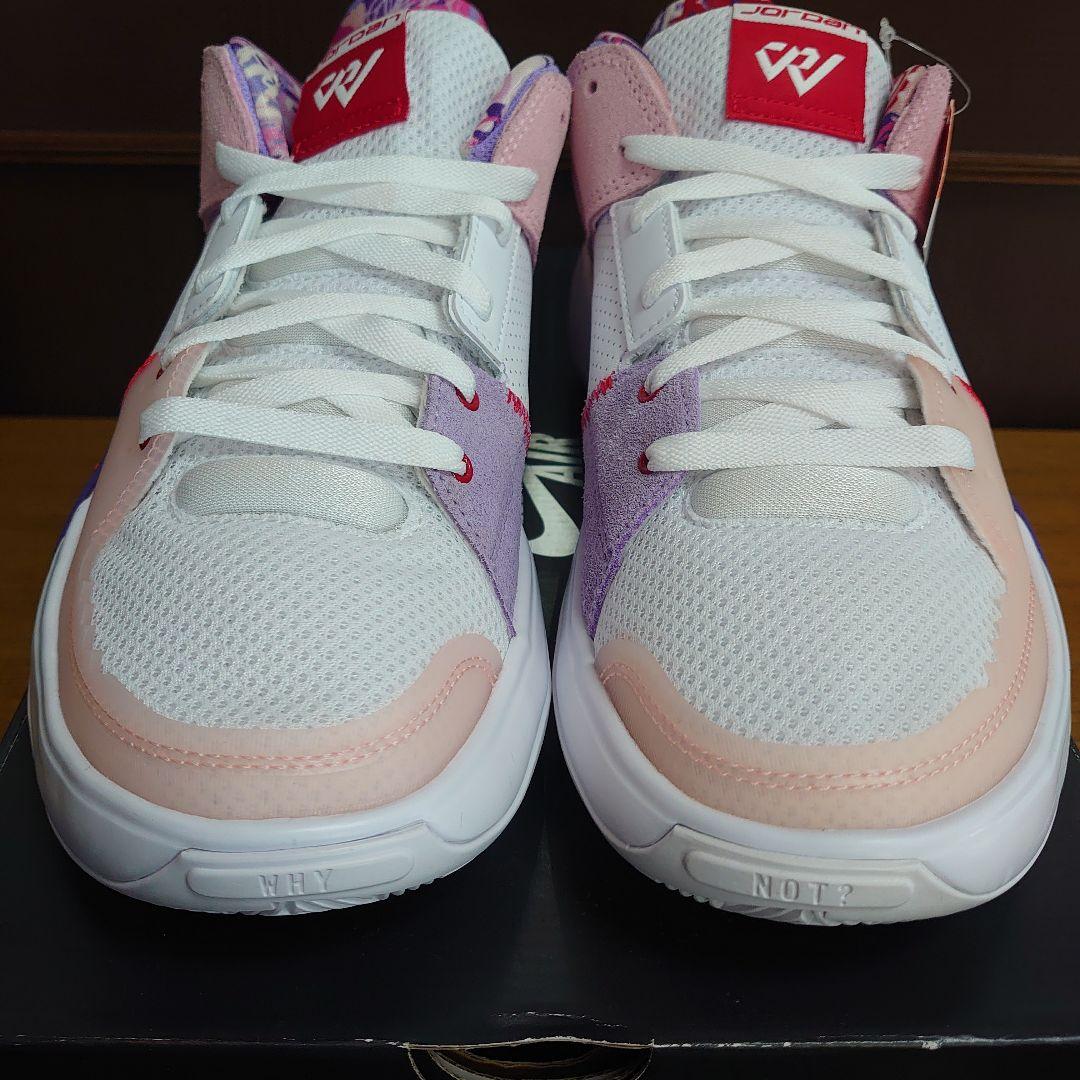 訳ありバッシュ 26.5cm JORDAN ジョーダン TAKE5