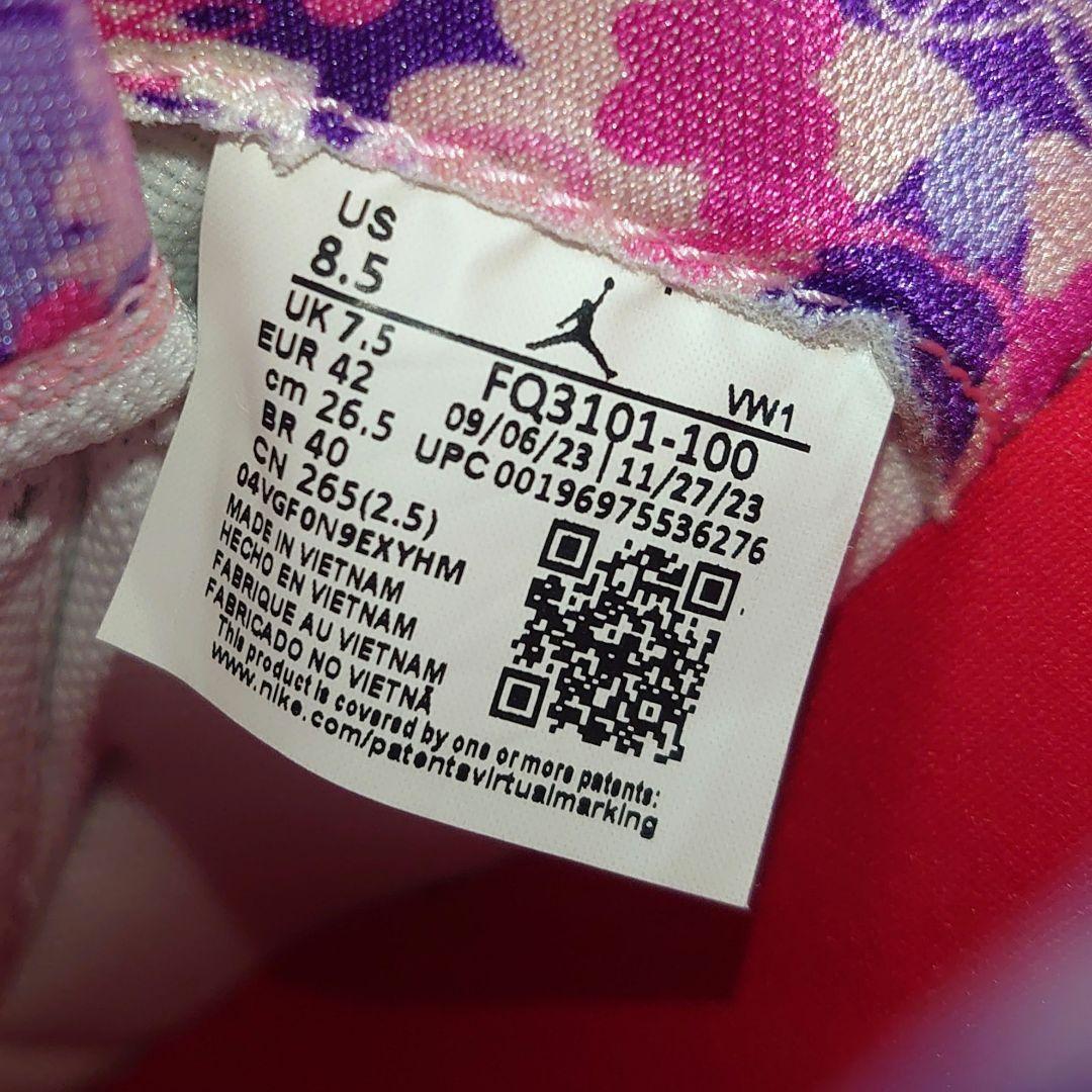 訳ありバッシュ 26.5cm JORDAN ジョーダン TAKE5