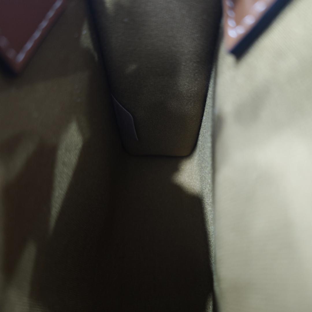 美品 トリオンフ バーティカルカバ ミニ 2WAY キャンバス